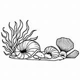 Beach Shells Floral Coloring Page · Creative Fabrica sketch template