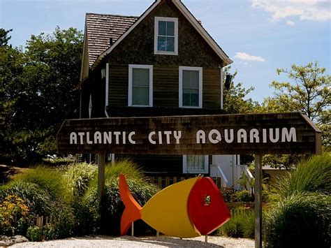 Atlantic City Aquarium by Arlane Crump | Atlantic city aquarium ...