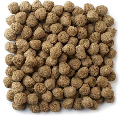 MAZURI Petting Zoo Animal Food, 40-lb bag - Chewy.com