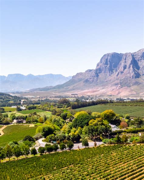 The 7 Best Wine Farms In Stellenbosch You Can't Miss! - CHARLIES WANDERINGS