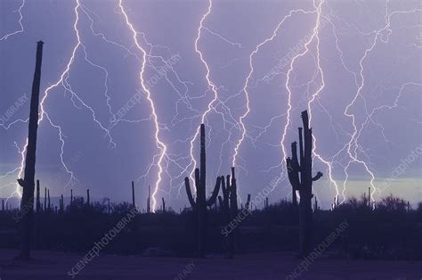 Cloud to Ground Lightning - Stock Image - C017/4377 - Science Photo Library