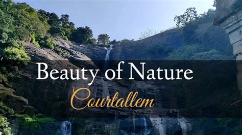 Courtallam Falls | Beauty of nature | Small trip time moments - YouTube