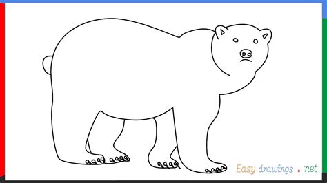 How to draw a Brown bear step by step for beginners - YouTube