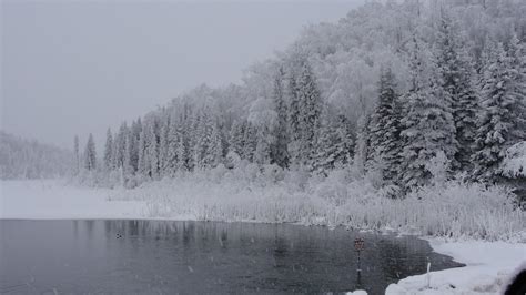 Wilderness Survival & Outdoors: Alaskan Winter