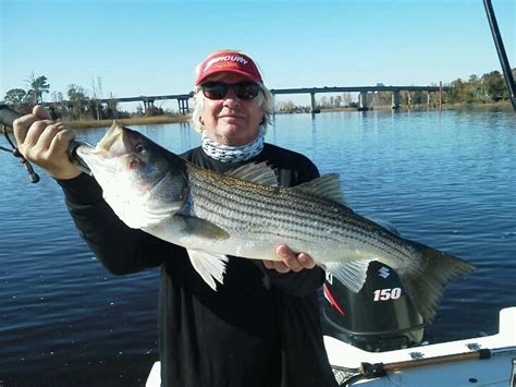 Wilmington Fishing Charters – Wilmington Fishing Charters