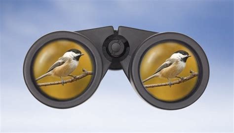 The 14 Best Birding Binoculars 🦅 [2021 Reviews] | Outside Pursuits