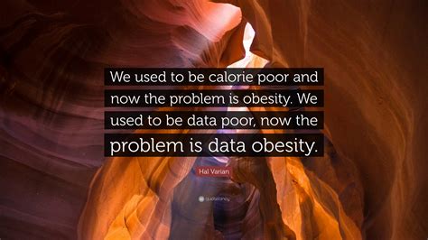 Hal Varian Quote: “We used to be calorie poor and now the problem is obesity. We used to be data ...