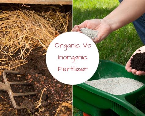 The Debate Over Organic Vs Inorganic Fertilizer - A Green Hand