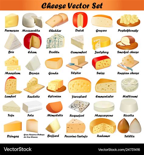 Set of different types of cheese on a white Vector Image