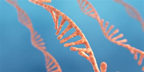 Unveiling a New, Robust miRNA Detection Method | Today's Clinical Lab