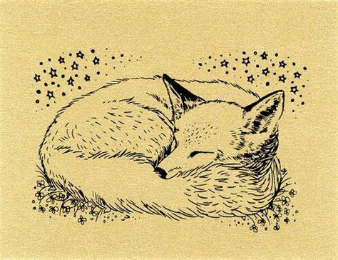 Sleeping Fox Sketch at PaintingValley.com | Explore collection of ...