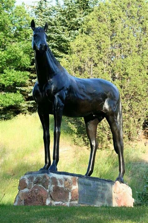 Sir Barton resting place | Horses, Triple crown, Beautiful horses