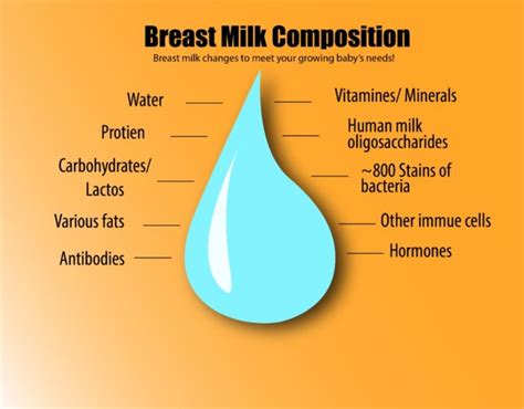 Does Maternal Nutrition Status Affect Breast Milk Composition?