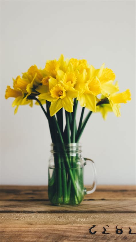 Daffodils Wallpaper - iPhone, Android & Desktop Backgrounds | Flower arrangements diy, Daffodils ...