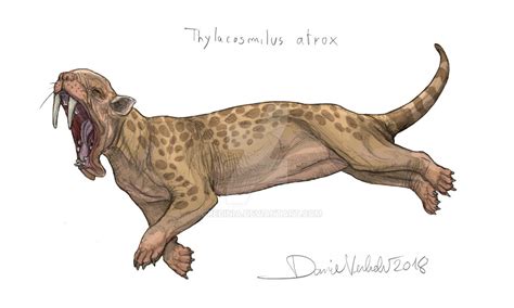 Thylacosmilus by Gredinia on DeviantArt