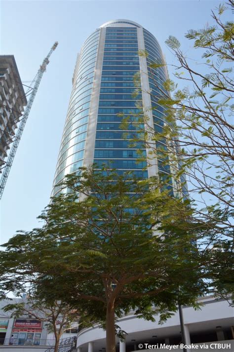 Fortune Tower - The Skyscraper Center