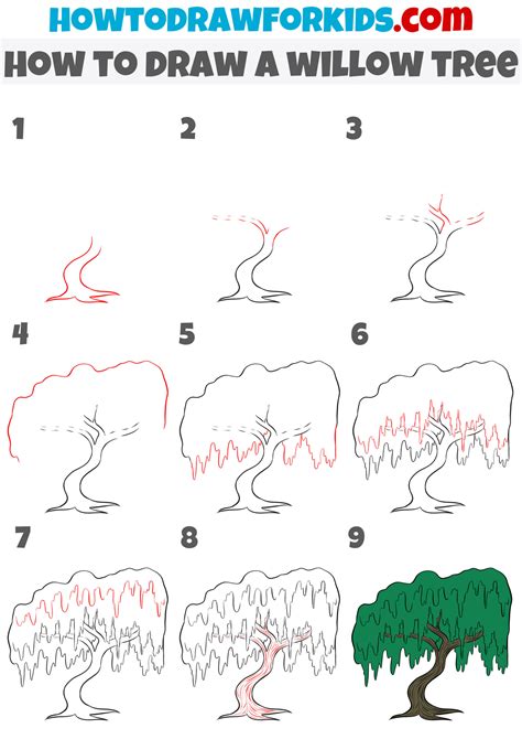 How to Draw a Willow Tree - Easy Drawing Tutorial For Kids