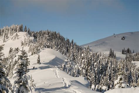 WanderingAway.com : Snowshoeing Hurricane Ridge