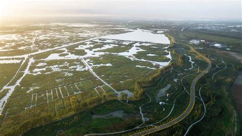 Gallery of Baiyangdian Waterfront Park / TLS Landscape Architecture - 10