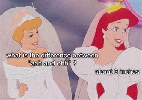 Pin by Roxana Rox on Disney funny | Disney princess funny, Dark disney, Princess meme