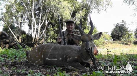 Bushbuck | AfricaHunting.com