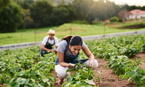 Most Profitable Small Farm Ideas - NerdWallet