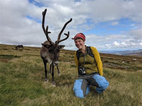 Reindeer Herders 2021 – The Cairngorm Reindeer Herd