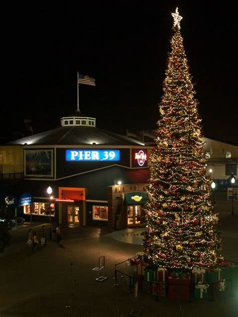 pier 39 christmas tree #san francisco | San francisco holiday, Usa san ...