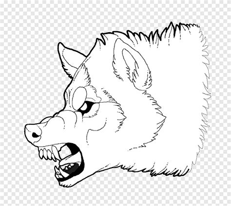 Snarling Dog Drawing