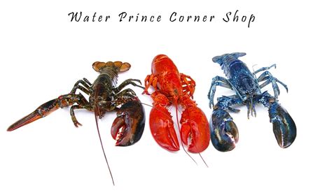 Lobster FAQ’s – Water Prince Corner Shop and Lobster Pound