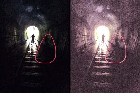 Unexplainable Paranormal Phenomena: Ghost Photos and Weird Creatures