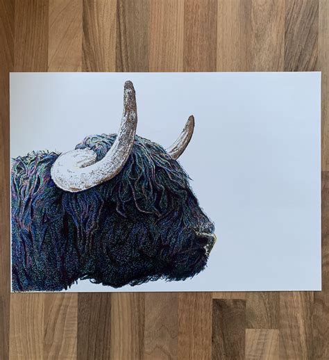 Hamish The Highland Cow : r/drawing