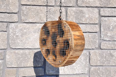 MICHAEL W. DESIGNS: Squirrel Proof Suet Feeder