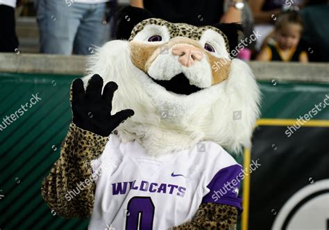 Abilene Christian Wildcats Mascot During 2nd Editorial Stock Photo - Stock Image | Shutterstock