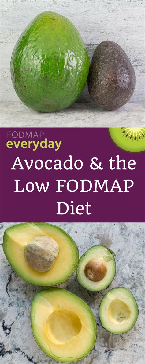 Can i have avocado on fod map diet – Health Blog
