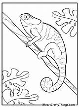 15 Free Lizard Coloring Pages Printable Cute Realistic PDF sketch template