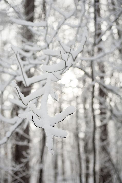 Winter Wonderland! | Vermont Wedding Photographer | Destination Wedding ...