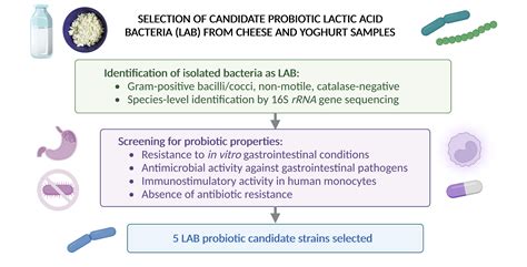 Fermentation | Free Full-Text | Antibacterial and Immunostimulatory Activity of Potential ...