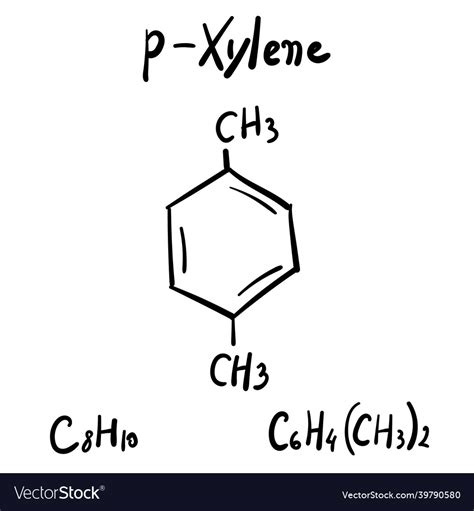 P-xylene molecule formula hand drawn imitation Vector Image