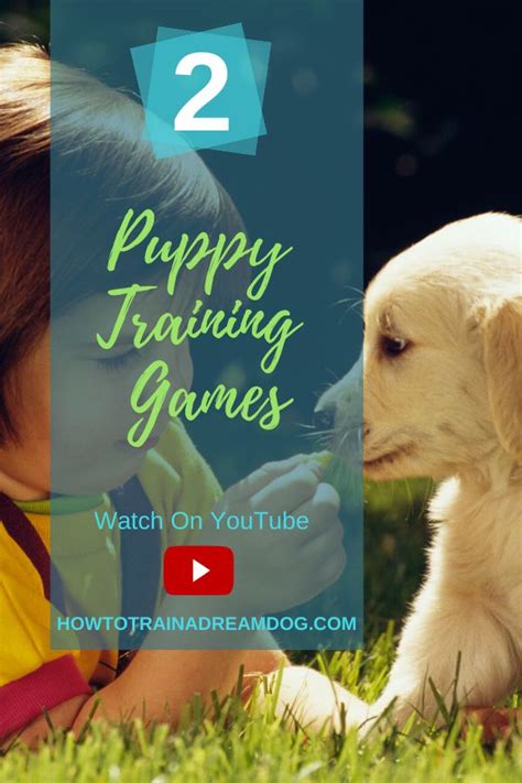 How to Train a Dream Dog - Puppy Training Games