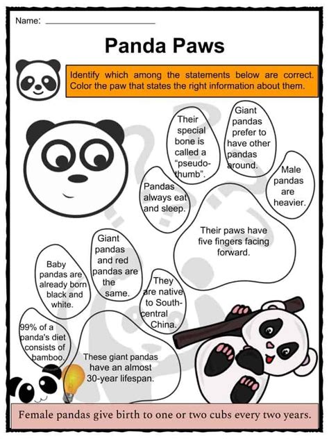 Panda Facts, Worksheets, Diet, Habitat & Historic Information For Kids ...