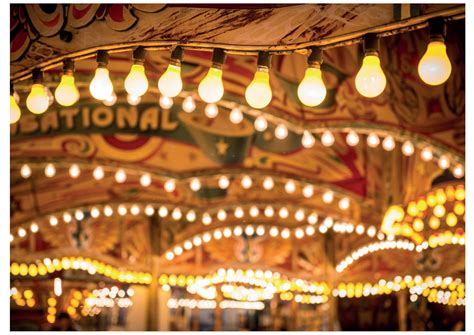 Job vacancy - Collections Officer at Dingles Fairground Heritage Centre ...