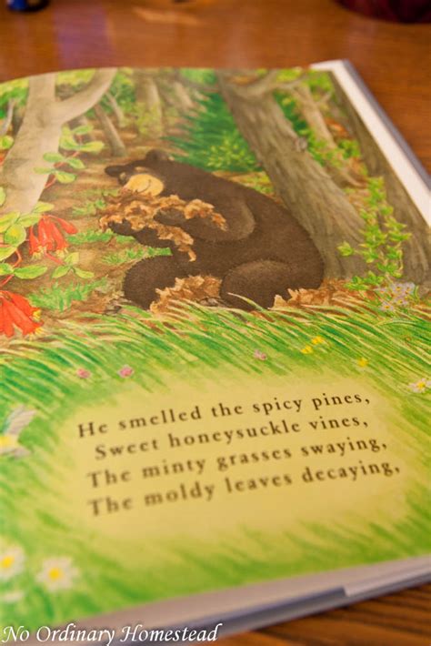 The Bear Went Over the Mountain kids book review