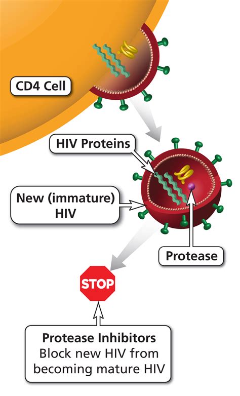 Protease Inhibitor (PI) | NIH