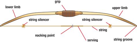 Common Bow Types: Longbow (Stick Bow)