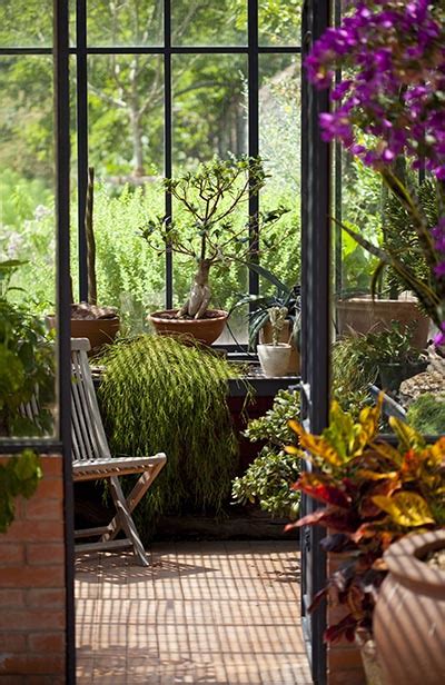 How To Decorate A Sunroom With Plants | Shelly Lighting