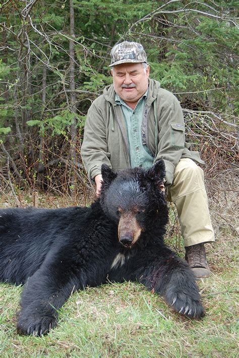 Bear Hunting in BC, Guided Bear Hunts with BC Guide Outfitters in BC Canada