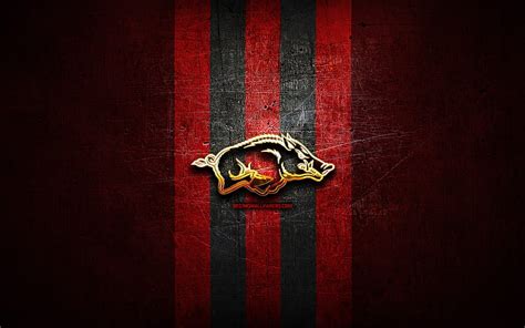 Aggregate 90+ razorback wallpaper - in.cdgdbentre