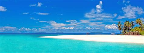 1366x768px | free download | HD wallpaper: green coconut palm tree, sand, sea, beach, the sun ...