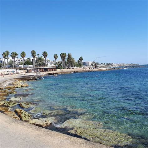 PAPHOS MUNICIPAL BEACH (Pafos) - 2023 Qué saber antes de ir - Lo más ...